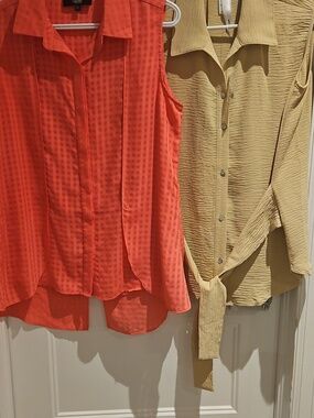 Set of 2 Boutique Tops: Red Coral sz sm & Beige Blouse, sz med (no name tag)